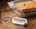 Digital Voice-Alert Thermometer