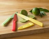 Multicolor Paring Knife Set