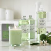 Williams-Sonoma Essential Oils Collection, Persian Lime