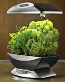AeroGarden 6 Elite Indoor Garden