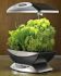 AeroGarden 6 Elite Indoor Garden