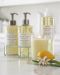 Williams-Sonoma Essential Oils Collection, Meyer Lemon