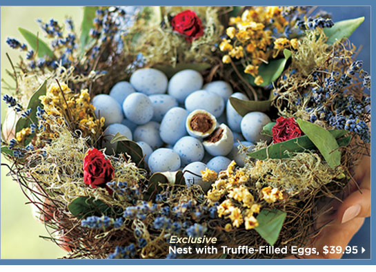 Nest with Truffle Eggs