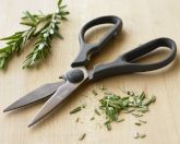 Titanium Kitchen Shears