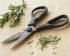 Titanium Kitchen Shears