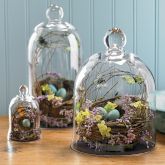 Handblown Nest Bell Jar