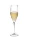 Riedel Sommeliers Champagne Flute