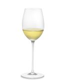 Riedel Sommeliers Loire Glass