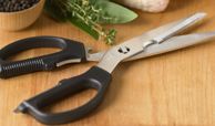 Kitchen Shears