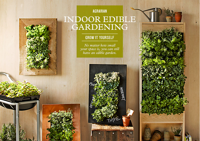 edible indoor wall garden indoor edible gardening williams sonoma edible indoor wall garden indoor edible gardening williams sonoma