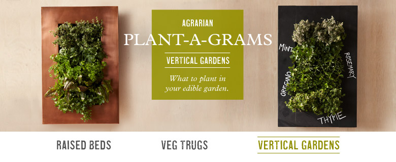 Plantagram | Williams-Sonoma