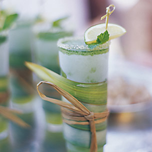 mojita WS