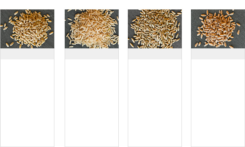 s4-GuidetoGrains-R3 s4-GuidetoGrains-R3