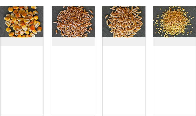 s3-GuidetoGrains-R2 s3-GuidetoGrains-R2