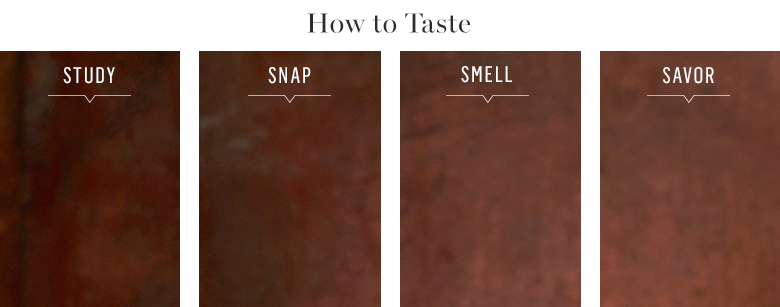 3-GuidetoChocolate_F16D4-HOWTOTASTE 3-GuidetoChocolate_F16D4-HOWTOTASTE