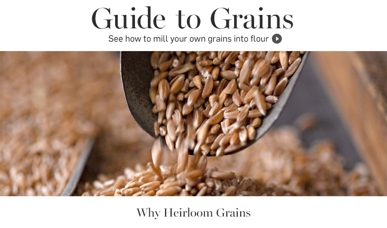 s1-hero-GuideToGrains-WhyHerGrains s1-hero-GuideToGrains-WhyHerGrains