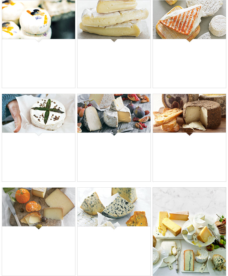 Glossary of Cheese Glossary of Cheese