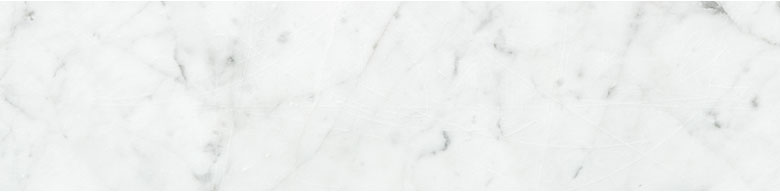 Everdure-brand-SPD118-bio Everdure-brand-SPD118-bio