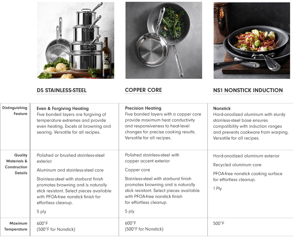 AllClad d5 StainlessSteel 10Piece Cookware Set Williams Sonoma