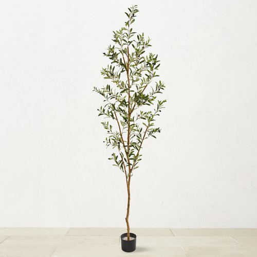 Online Designer Combined Living/Dining Faux Olive Tree, 82