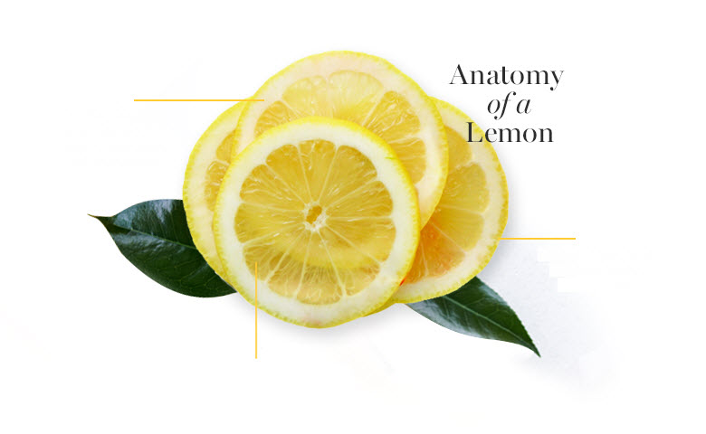 Anatomy of a Lemon Anatomy of a Lemon