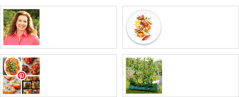 Tomatoes Tomatoes