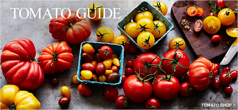 Tomato Shop > Tomato Shop >