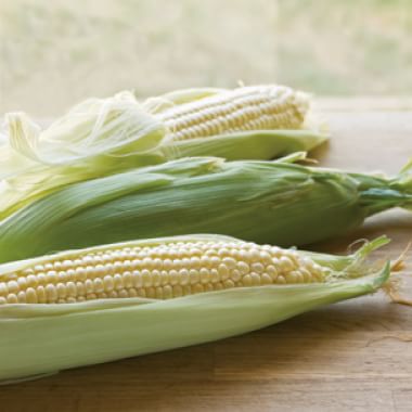 All About Corn