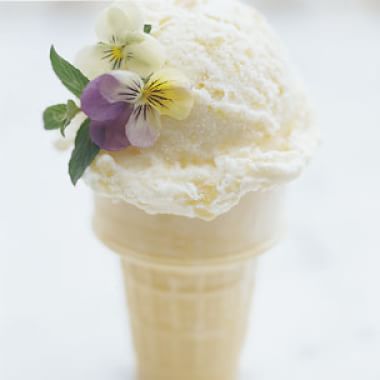 Homemade Ice Cream