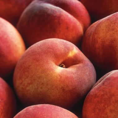 All About Peaches