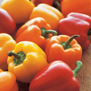 All About Bell Peppers