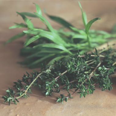 All About Herbs