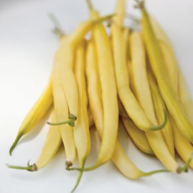 hard wax beans color meaning hard wax beans color meaning