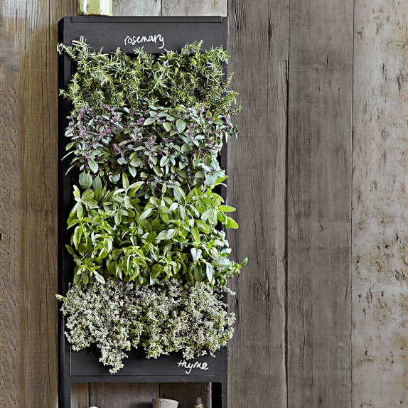 Freestanding Vertical Chalkboard Garden