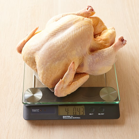 Williams Sonoma Touchless Tare High-Capacity Glass Scale