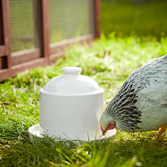Stoneware Chicken Waterer