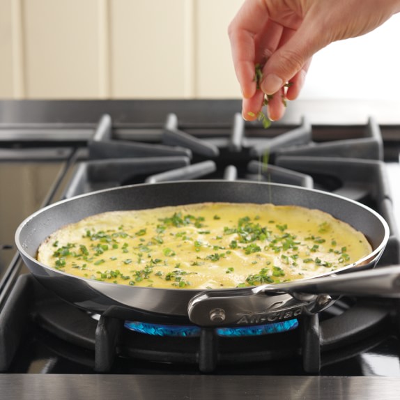 All-Clad d5 Stainless-Steel Nonstick Omelette Pan, 9"