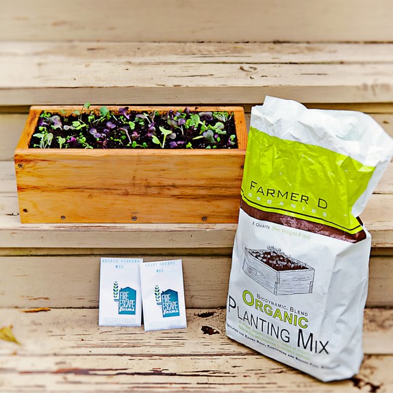Farmer D Herb Box with Heirloom Seeds and Organic Soil