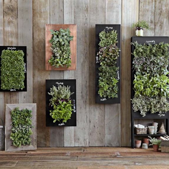 Chalkboard Wall Planter Williams Sonoma