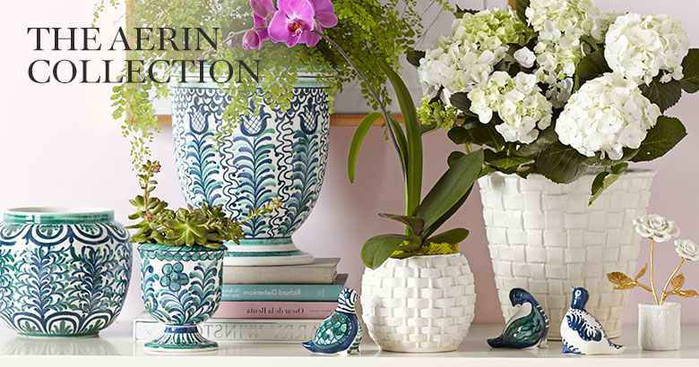 The AERIN Collection