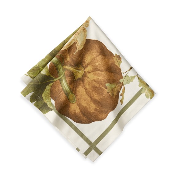 Botanical Pumpkin Napkin, Set of 4 Williams Sonoma