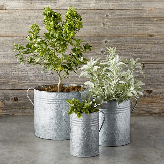 Galvanized Planters, Set of 3 Williams Sonoma