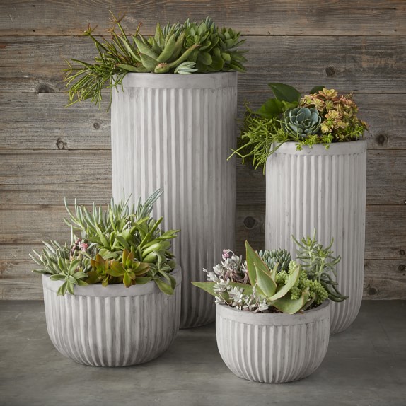 Oakland Concrete Planter, Extra Large Williams Sonoma