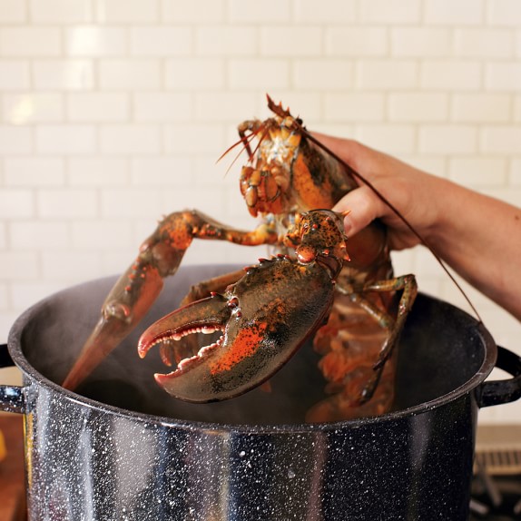 Maine Lobsters, Set of 4