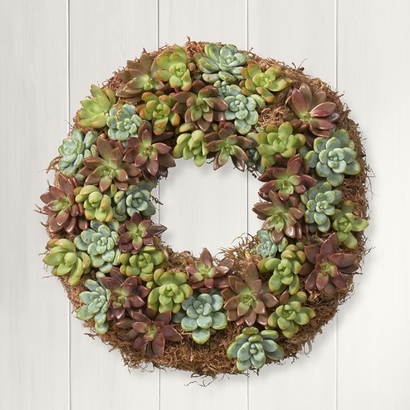 Succulent Wreath, 12