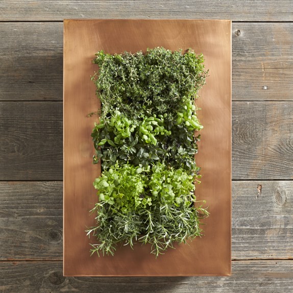 Copper Vertical Wall Planter Williams Sonoma