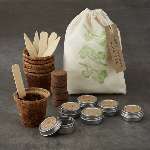 Herb Garden Seed Kit Williams Sonoma Herb Garden Seed Kit