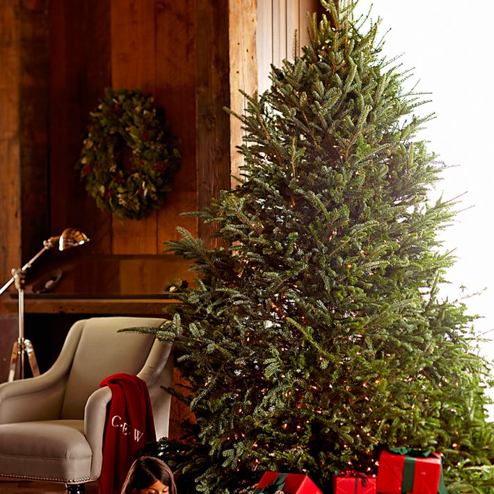 best 28 krinner christmas tree stand canada 100 best 28 krinner christmas tree stand canada 100