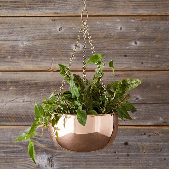 Hanging Copper Planter  Williams Sonoma