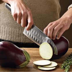 shun kanso steak knives shun kanso steak knives